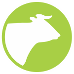 acopio